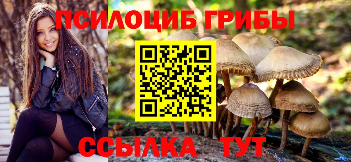 Псилоцибиновые грибы Cubensis  сколько стоит  Лянтор  Вход с VPN 